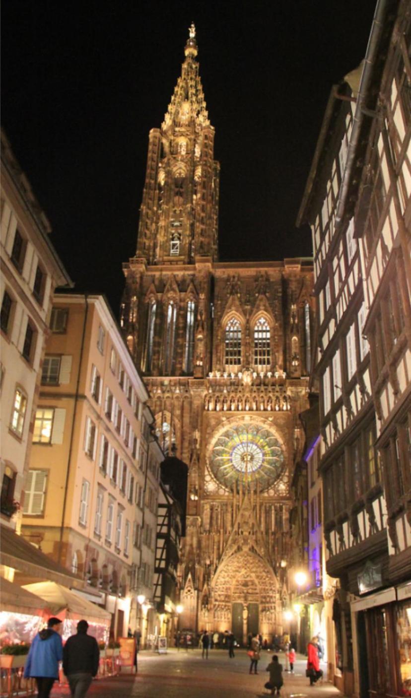 La Maison D'A Cote De Strasbourg Illkirch-Graffenstaden Bagian luar foto